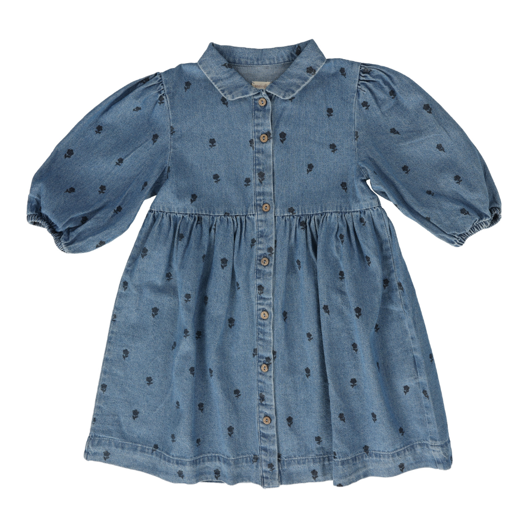 Analogie Floral Dress Three Quarter Sleeve - PDFDQ-SS25