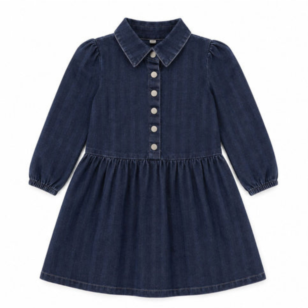 Bonjoy Printed Denim Dress - TW26004D