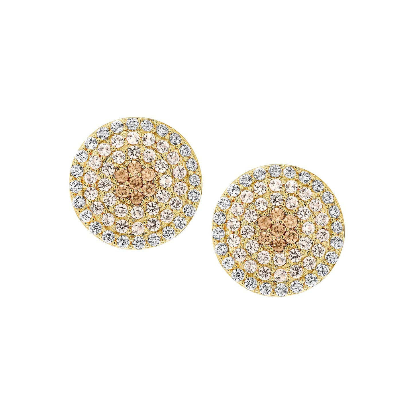 Cameo Ombre Circle Stud Earring - SE2140