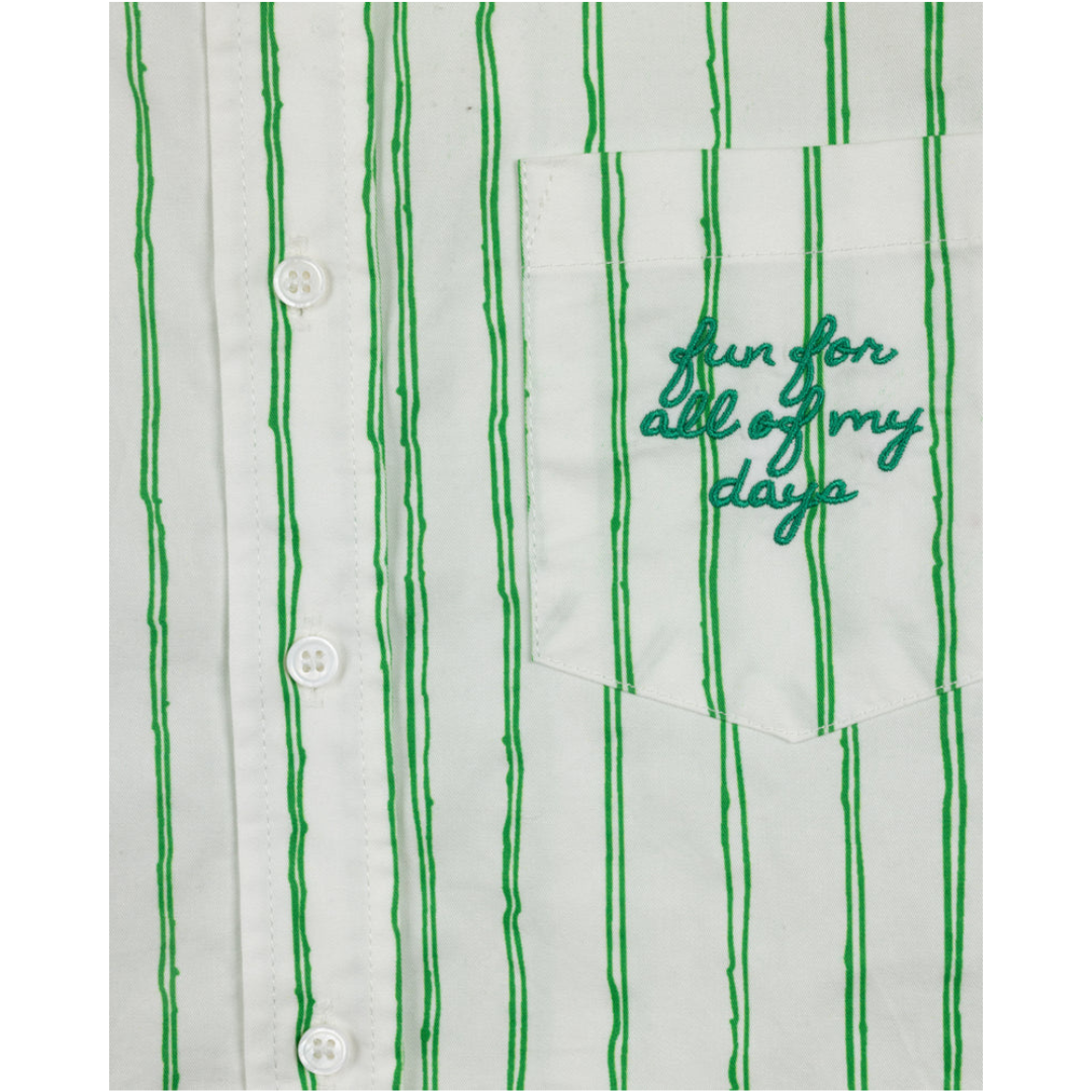 Vibe Sketch Pinstriped Embroidered Blouse - C-23826