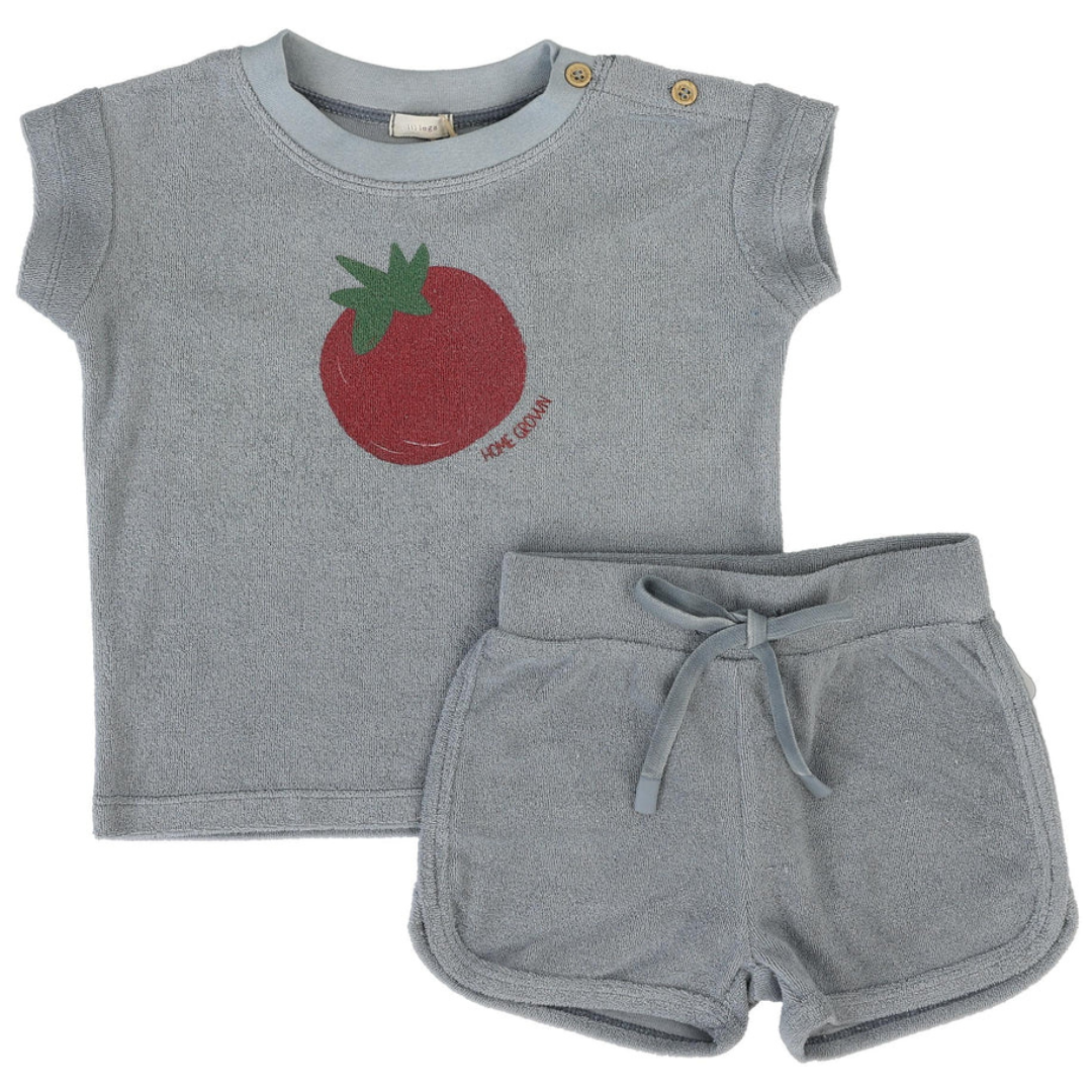Analogie Tomato Set - LPTST-SS26